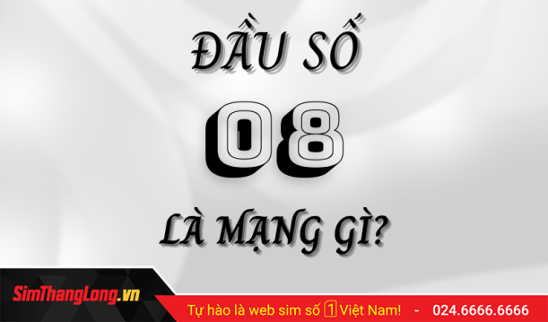 dau-so-08-la-mang-gi