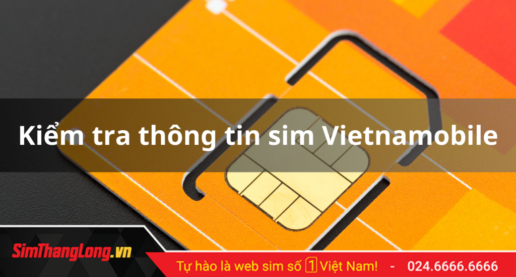 kiem-tra-thong-tin-sim-vietnamobile (1)