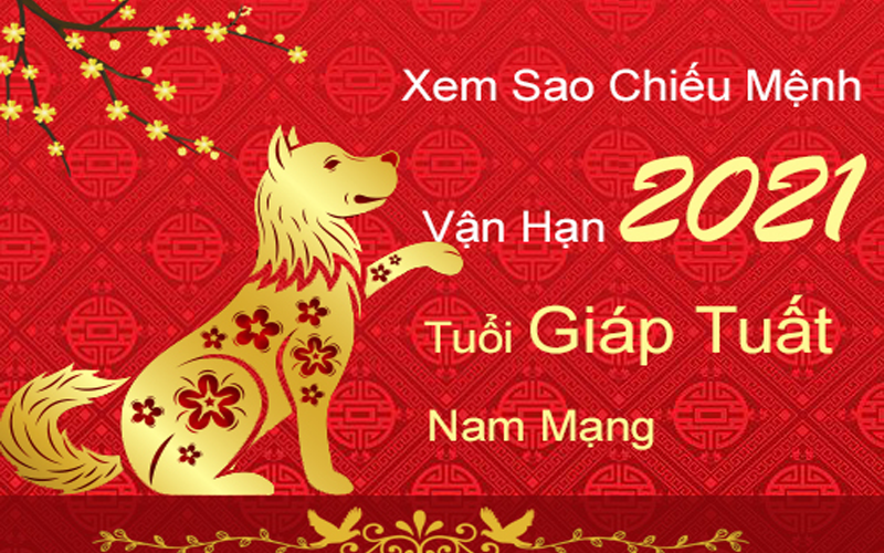 Luận Giải Tử Vi Giáp Tuất Năm 2021 - Một Năm Đầy Thăng Trầm