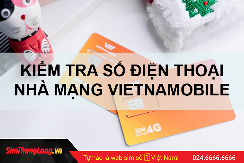 Cách Kiểm Tra Số Điện Thoại Vietnamobile: Hướng Dẫn Nhanh và Đơn Giản