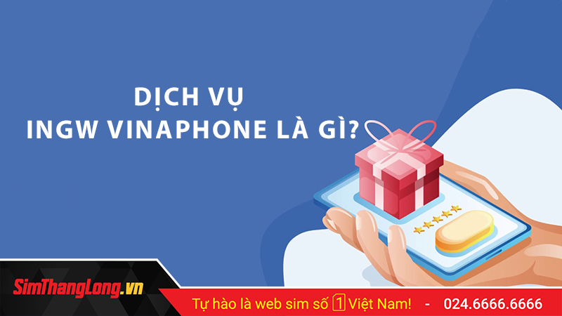 Dịch vụ INGW Vinaphone là gì? #2 cách hủy dịch vụ INGW hiệu quả nhất - Blog Sim Thăng Long