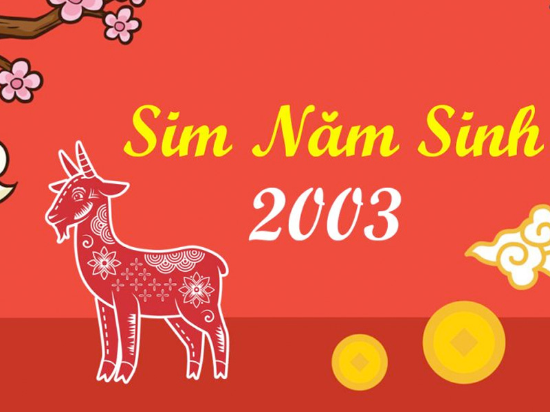 sinh-nam-2003-hop-so-dien-thoai-nao-3