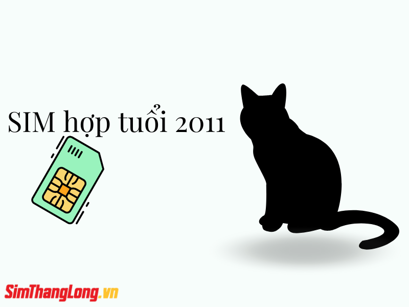 so-dien-thoai-hop-tuoi-2011 (1)
