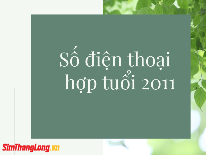 so-dien-thoai-hop-tuoi-2011 (2)