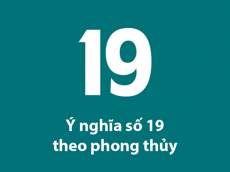 so-19-co-y-nghia-gi-2