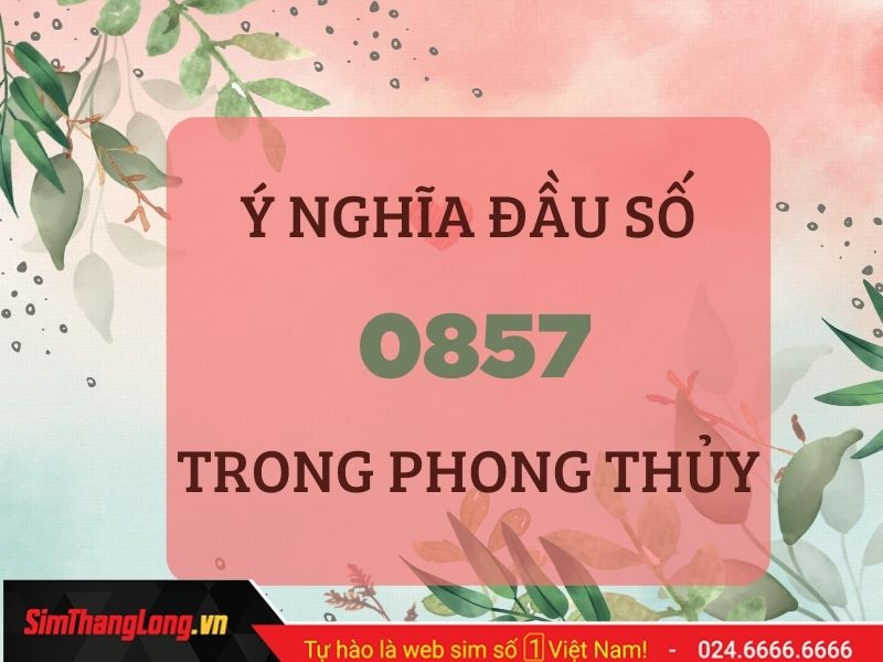 y-nghia-dau-so-0857