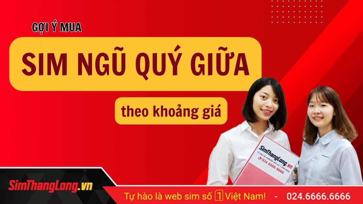 Chọn mua sim ngũ quý giữa tương ứng với mức giá