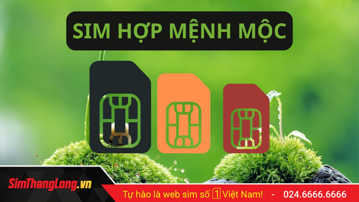 Sim hơp mệnh Mộc