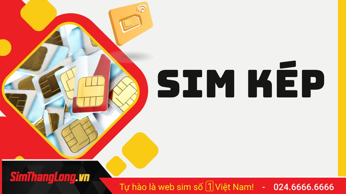 Mua Sim Kép tại Sim Thăng Long