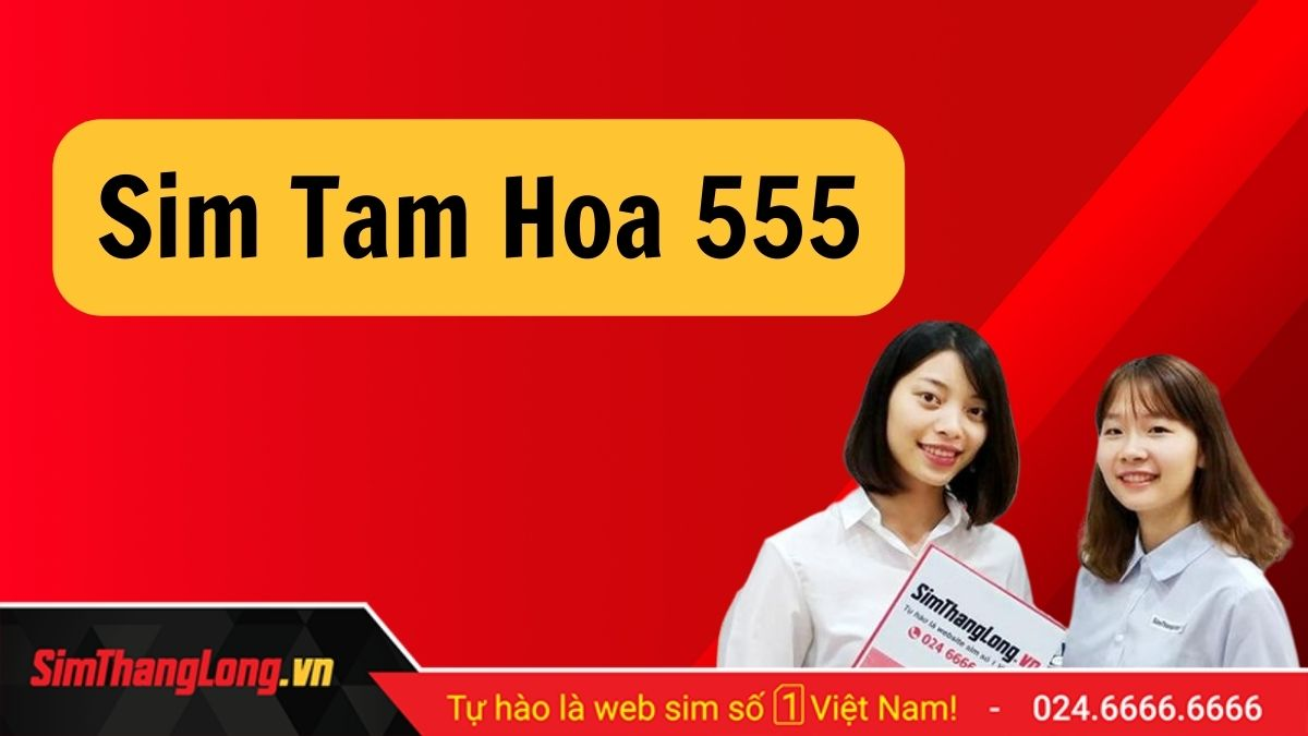 Sim-tam-hoa-5