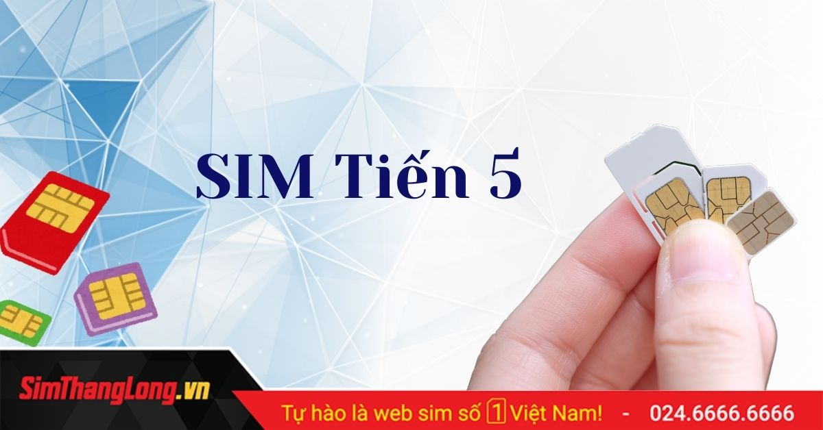 Sim tiến 5