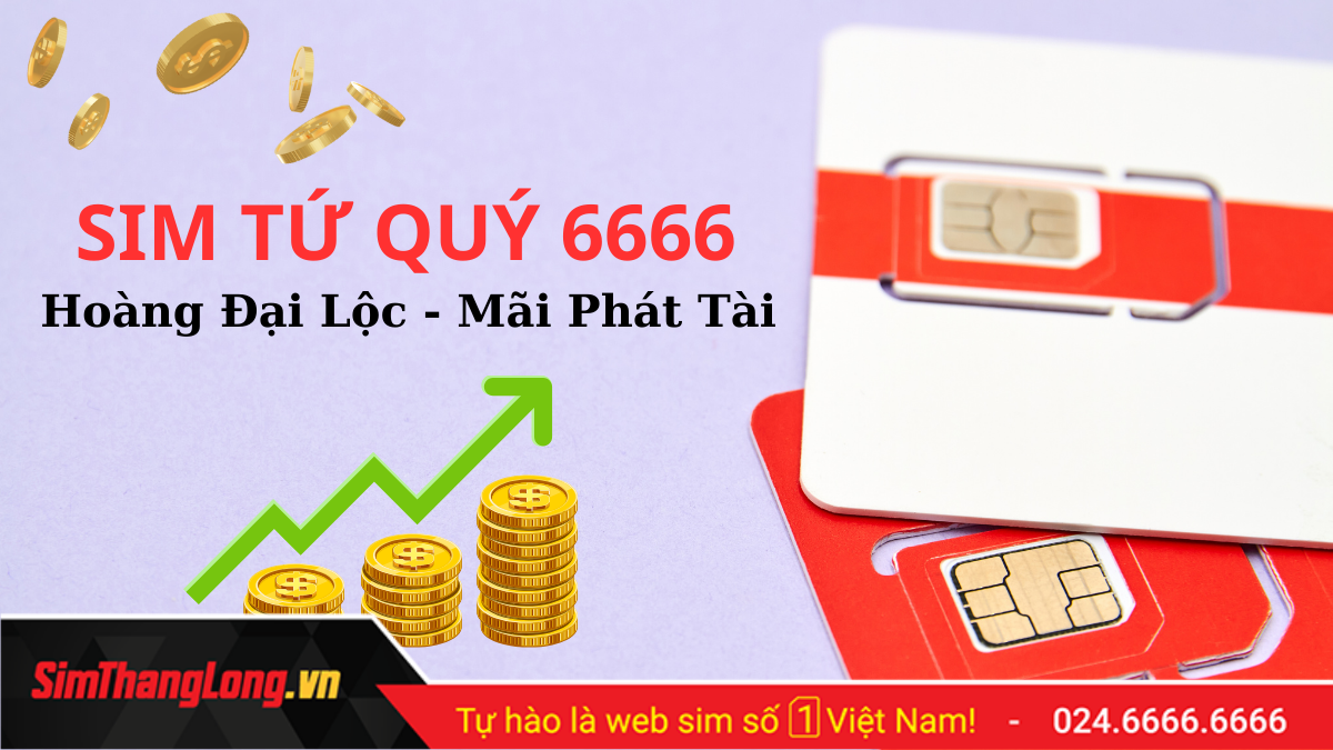 Thế nào là sim tứ quý 6