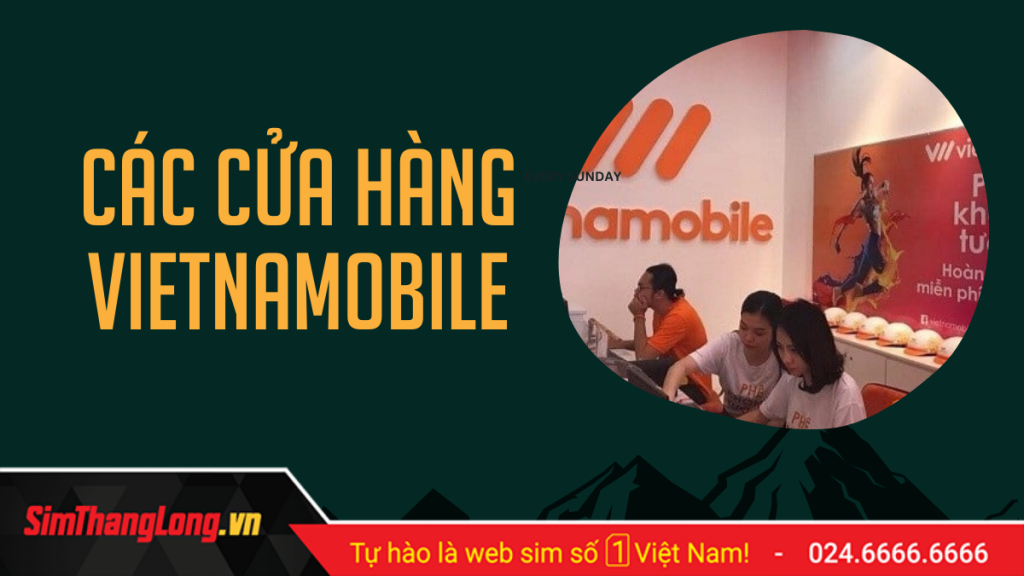 diem-lam-lai-sim-vietnamobile-tai-hcm (1)