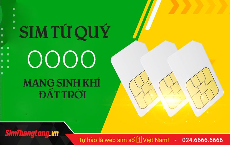 Ý nghĩa sim Tứ quý 0000