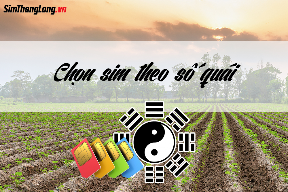 Chọn sim hợp mệnh Thổ theo số quái