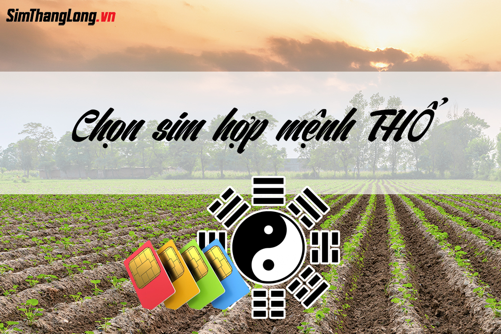 Hướng dẫn chọn sim hợp mệnh Thổ