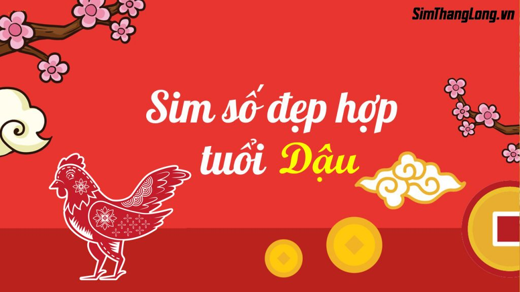 Sim hợp tuổi Dậu