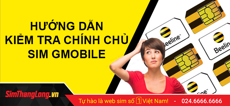 Hướng dẫn kiểm tra chính chủ sim Gmobile