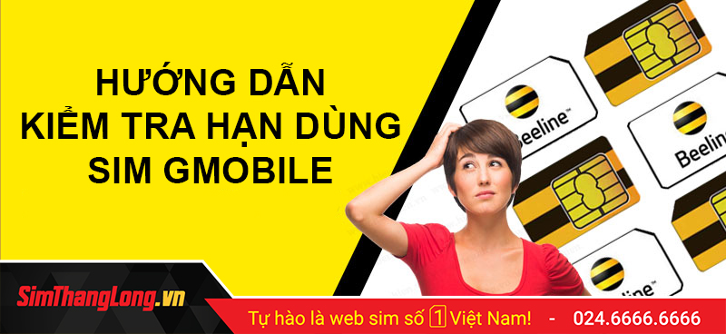 Hướng dẫn kiểm tra hạn sử dụng sim Gmobile