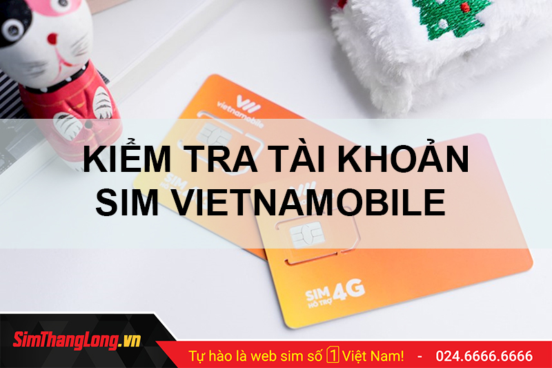 Tại sao cần kiểm tra tài khoản mạng Vietnamobile?