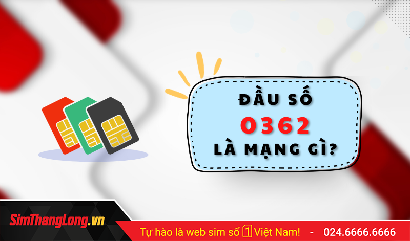 y-nghia-sim-dau-0362