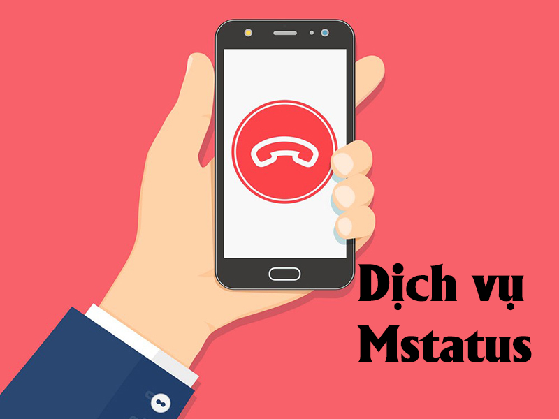 Dịch Vụ Môi Trường Rừng Là Gì? Khám Phá Lợi Ích và Giải Pháp Bảo Vệ