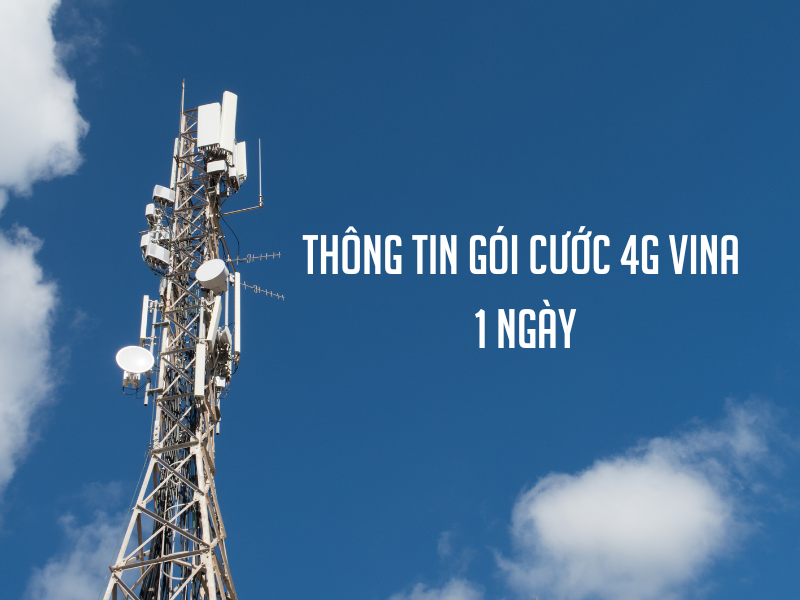 goi-cuoc-4g-vinaphone-1-ngay (3)