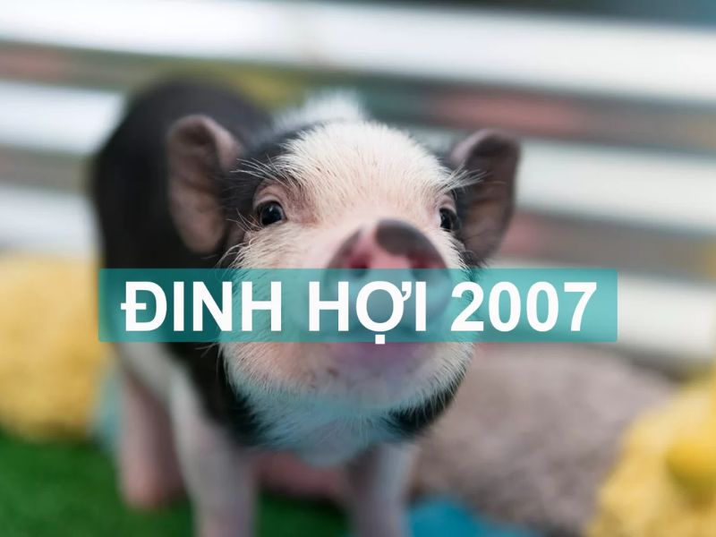 Khái quát về tuổi Đinh Hợi 2007