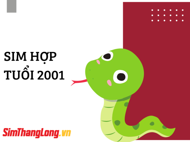 sim-hop-tuoi-2001 (3)