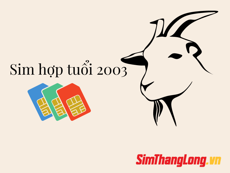 sinh-nam-2003-hop-so-dien-thoai-nao (2)