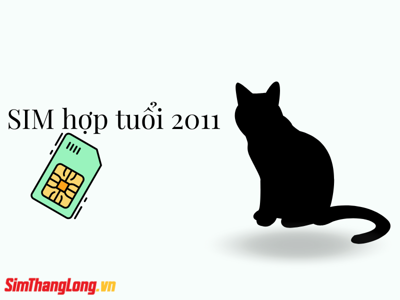 so-dien-thoai-hop-tuoi-2011-1