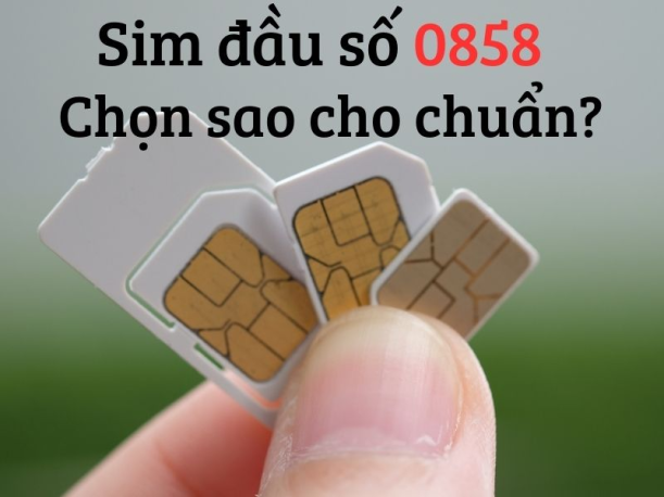 cach-chon-sim-dau-so-0858