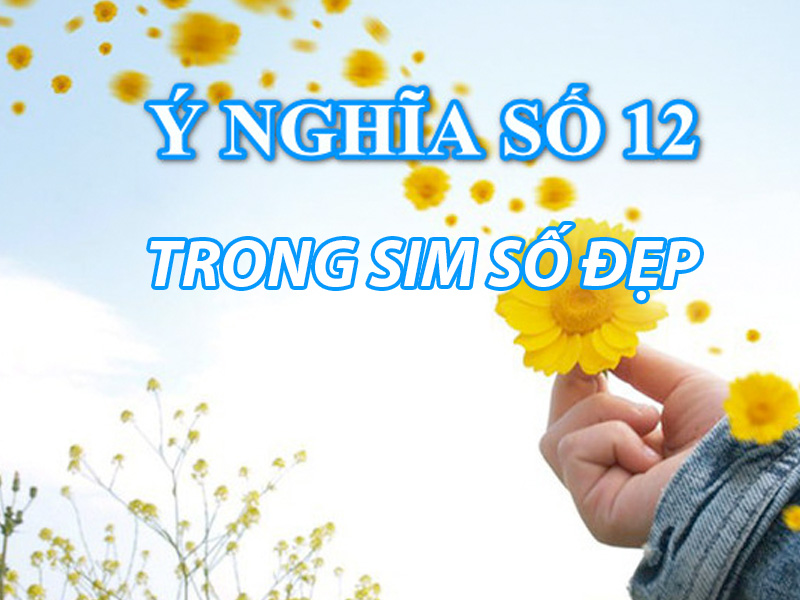 so-12-co-y-nghia-gi-3