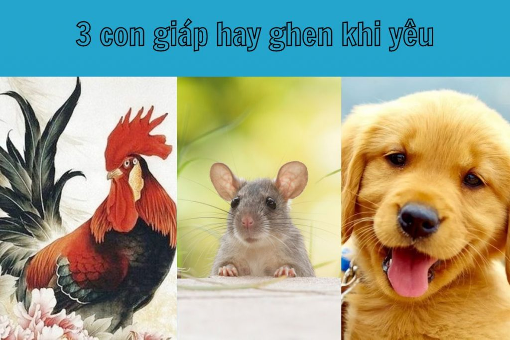 Những con giáp hay ghen khi yêu