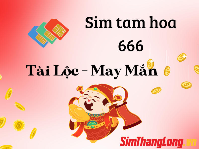 Sim 666 có ý nghĩa gì? Khám phá và phân tích phong thủy chuyên sâu