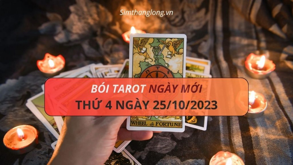 Thông điệp nào của ngày 25/10/2023 được gửi tới 12 cung hoàng đạo qua những lá bài tarot?