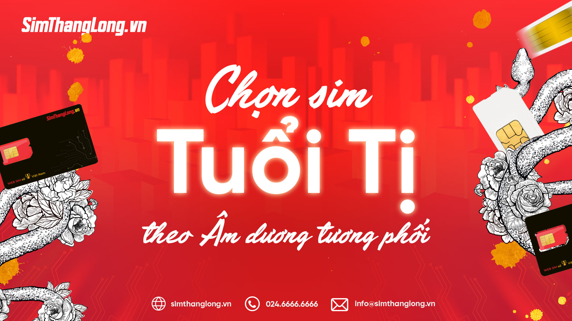 Nguyên tắc chọn sim hợp tuổi Tị theo âm dương