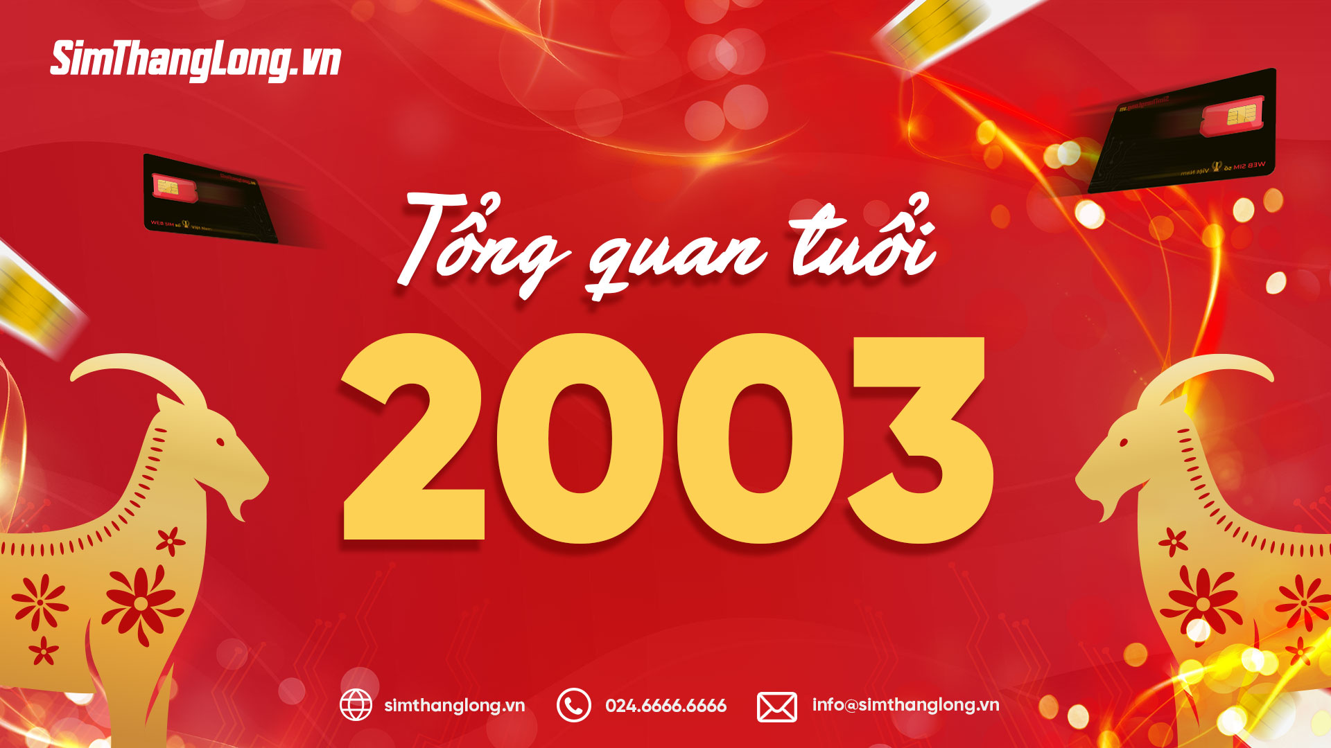 Tổng quan về tuổi 2003