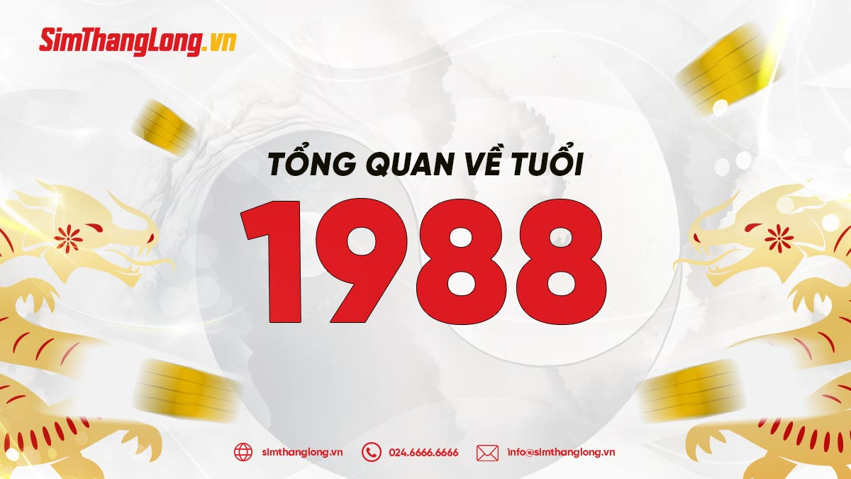 Tổng quan về tuổi 1988