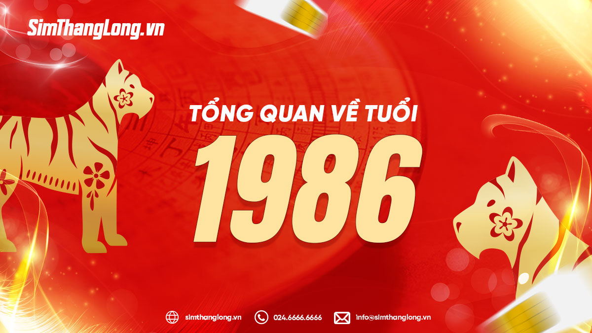 Tổng quan về tuổi 1986