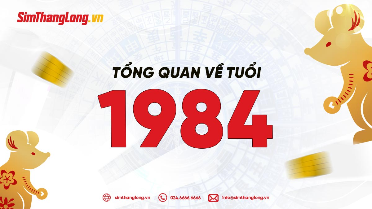 Tổng quan về tuổi 1984