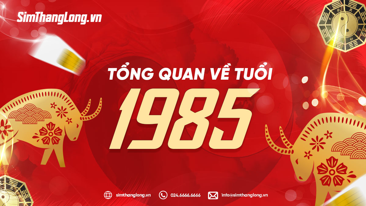 Tổng quan về tuổi 1985