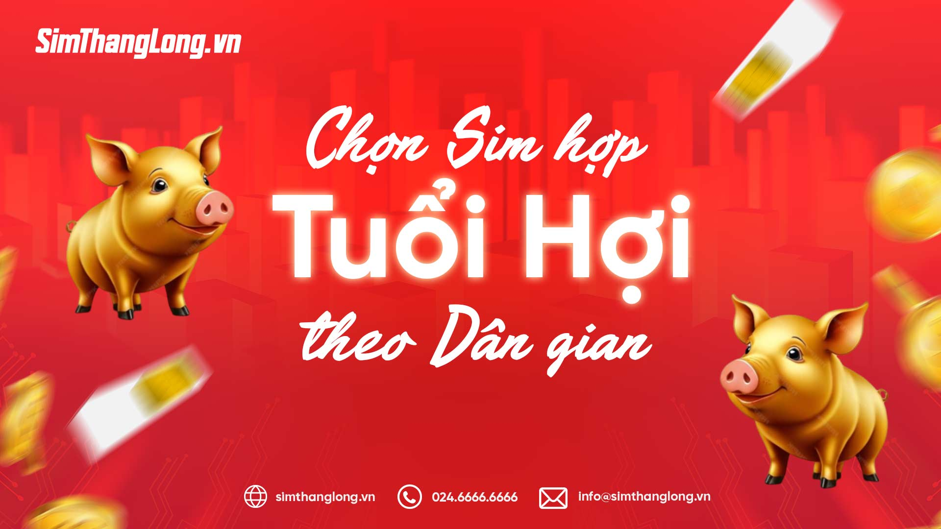 chon-sim-hop-tuoi-hoi-theo-quan-niem-dan-gian