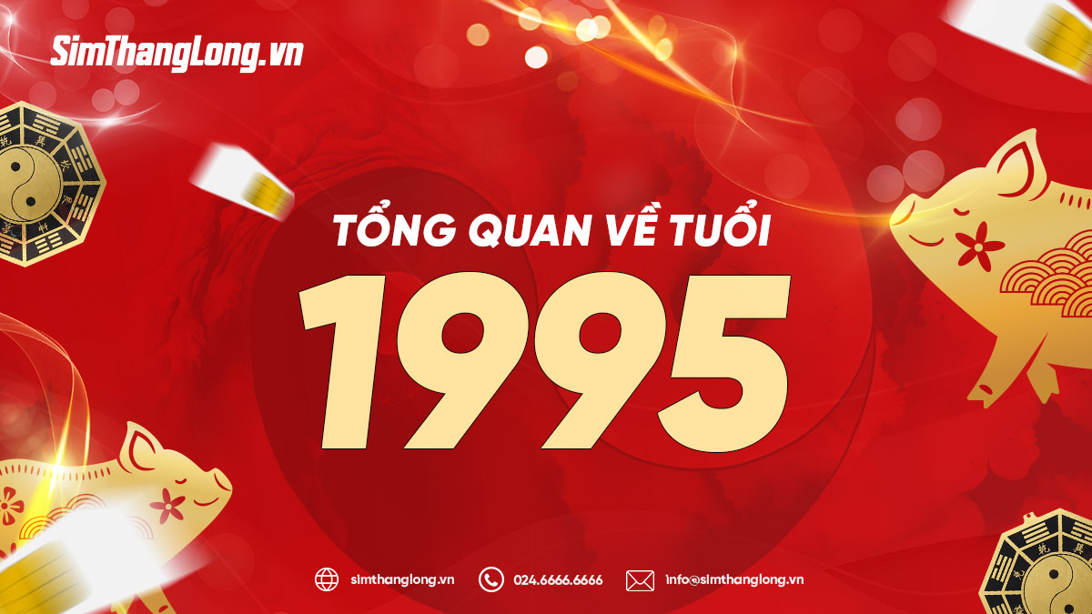 Tổng quan về tuổi 1995