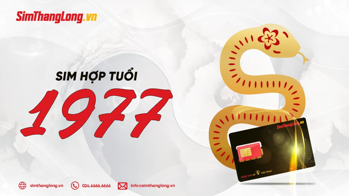 Các bước chọn sim hợp tuổi 1977