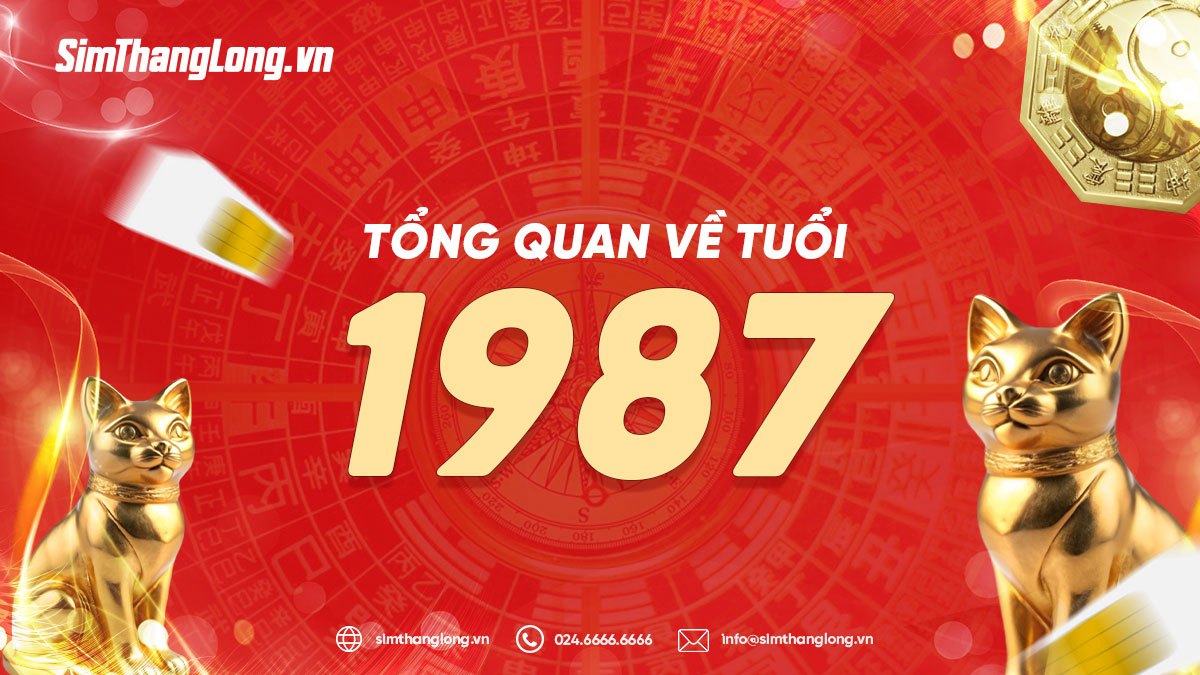 Tổng quan về tuổi 1987