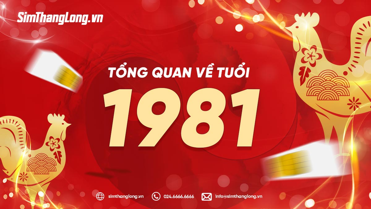 Tổng quan tuổi 1981