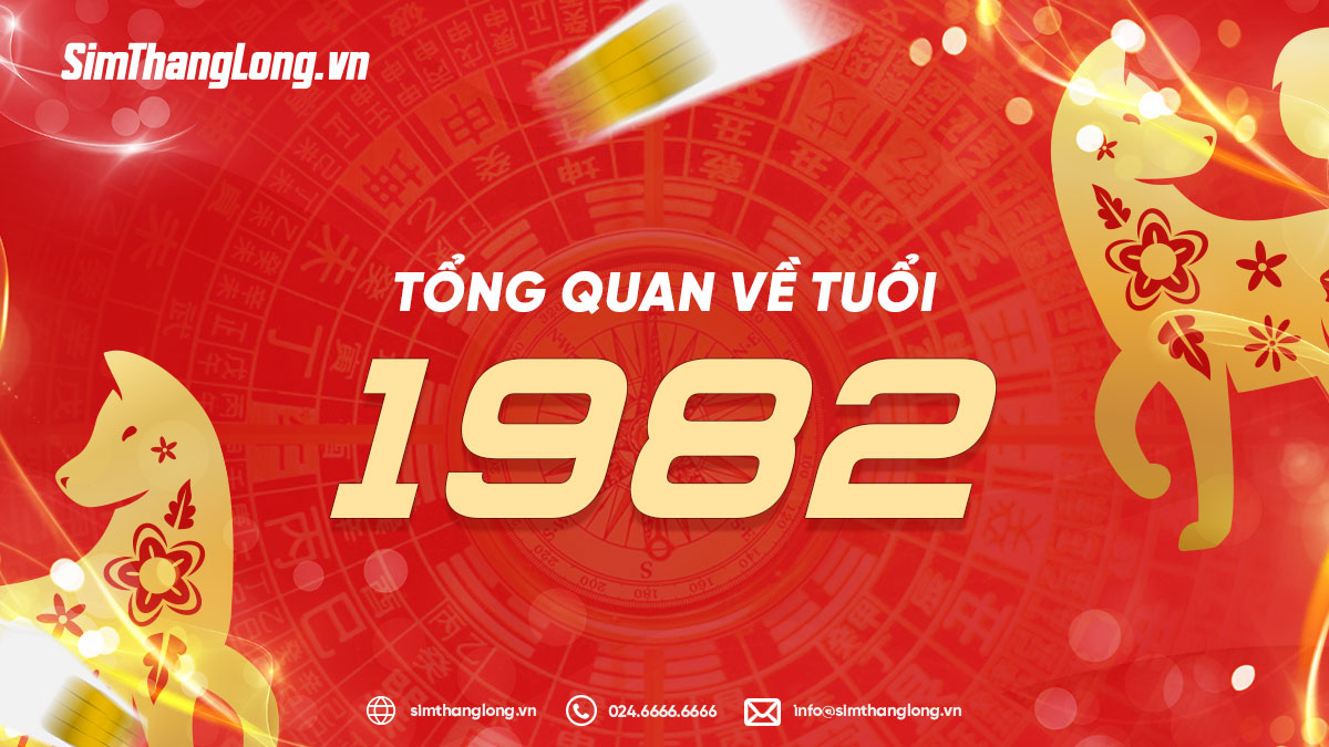 Tổng quan tuổi 1982