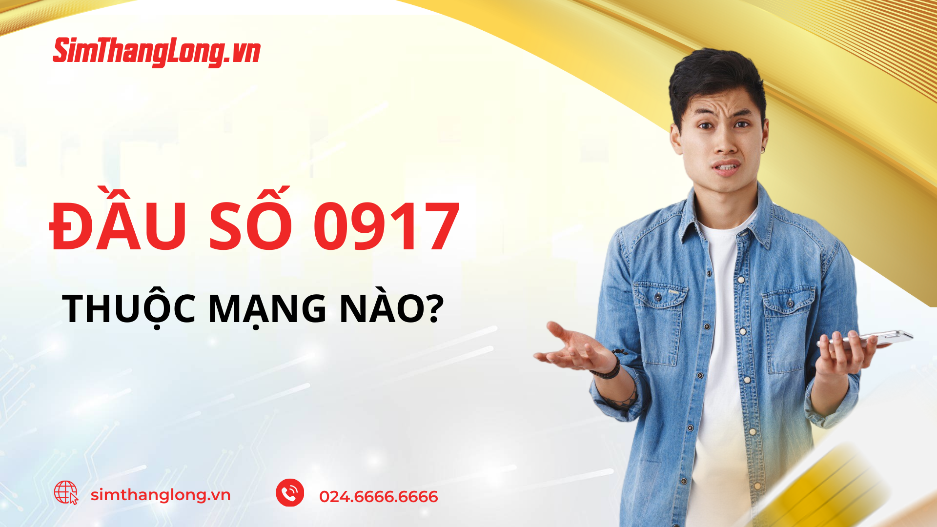 Nhà mạng nào sở hữu đầu 0917?