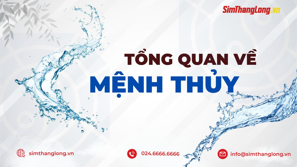 tong-quan-ve-nguoi-menh-thuy